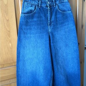 Zara Blue Women Jeans